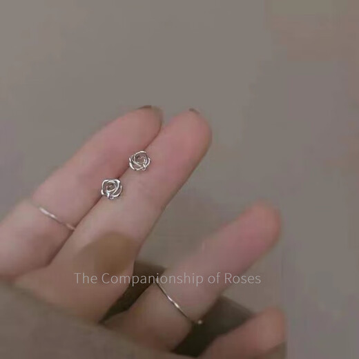 DidiZoo small fragrance style zircon four-leaf clover earrings for women niche design accessories elegant earrings freshwater pearl earrings