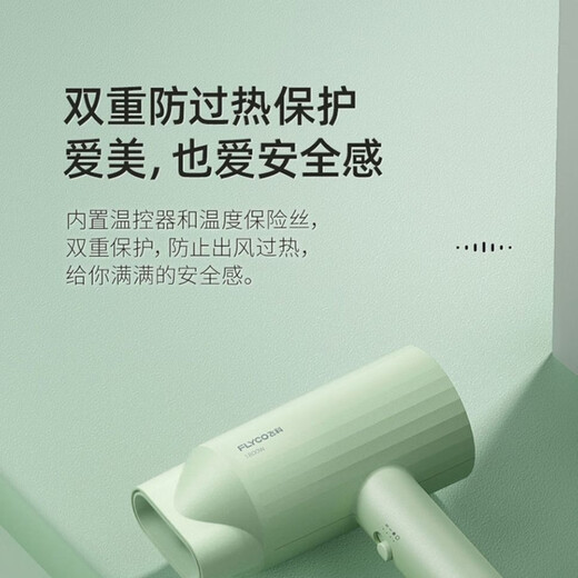 博锐飞科高速电吹风机家用负离子护发大风力速干低噪轻音便携式宿舍学生用不伤发吹风筒 飞科吹风机FH6296不可折叠 1800W绿色