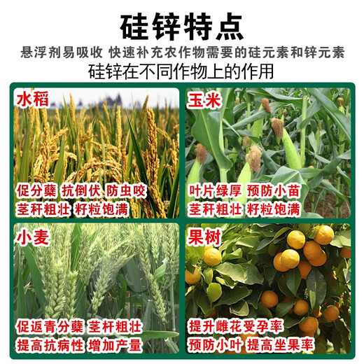 Silicon zinc fertilizer foliar fertilizer for wheat, rice and corn to increase yield, resist lodging and promote tillering, general water-soluble fertilizer for fruit trees and vegetables, Australian brand 1550g*12 bottles