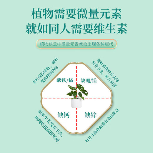 Plant nutrient solution, universal money tree dead leaves, yellow leaves and rotten roots, household flower fertilizer, special concentrated fertilizer for potted flowers, buy two, get one free, send 3 bottles