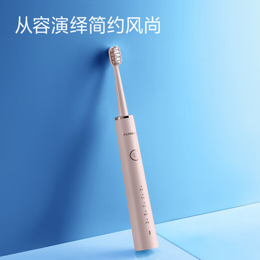 FLYCO Electric Toothbrush for Couples Adult Home Valentine's Day Gift for Men and Women Rechargeable Fully Automatic Sonic Vibration Soft-bristled Toothbrush FT7108 Zhaoxia Powder 2 Original Toothbrush Heads + Stand Charger