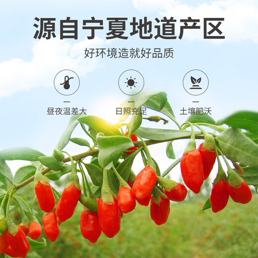 方家铺子 枸杞特优级宁夏红枸杞300g独立包装 送长辈父母