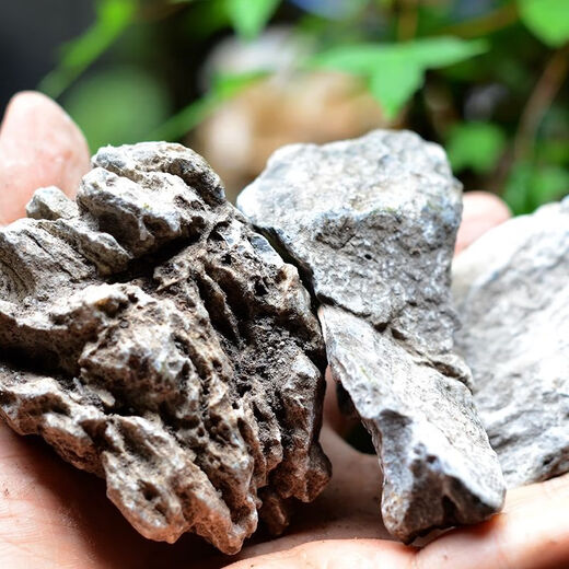 OIMG natural micro-landscape primary color blue dragon stone aquarium fish tank moss plant potted plant decoration grass tank tropical fish breeding turtle 10-12 cm blue dragon stone buy 1 piece solid hair 2 pieces