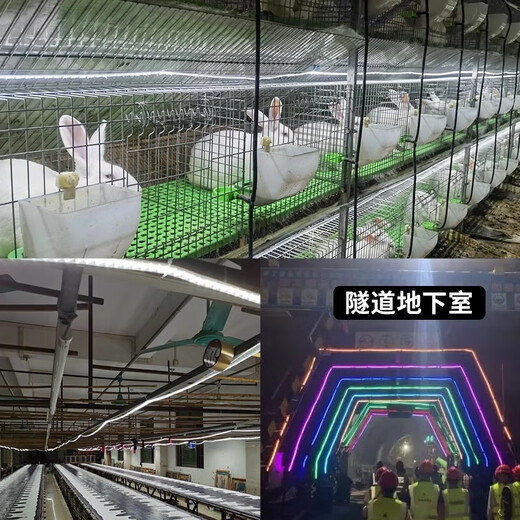 Fanyao outdoor waterproof light strip led super bright light strip 220v special engineering high voltage light strip for living room exterior wall 120 beads-white light-20 meters