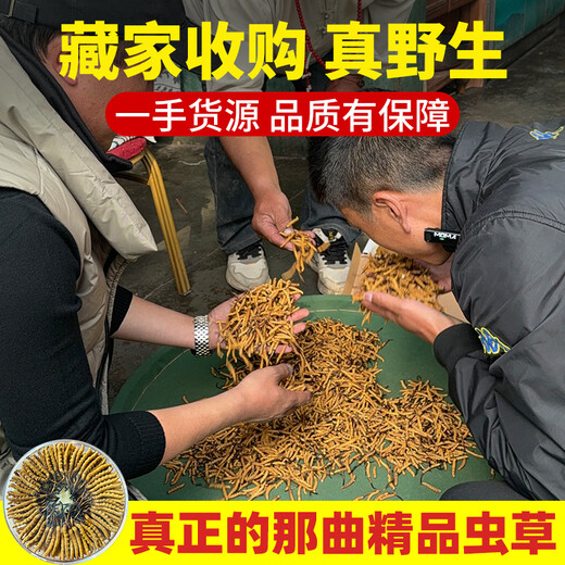 Dongzai [Narqu, Tibet] Wild Cordyceps sinensis hohe Höhe wilde Cordyceps sinensis tonische Geschenkbox für Älteste [Narqu, Tibet] 2 Wurzeln/G-High-End-Business 50G (Geschenkbox)