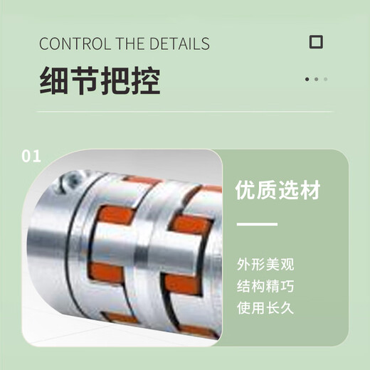 Biaoyan coupling COUPLING R19.19-12