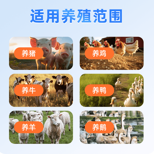 Sen A, A, D, Jukuai, special early slaughter mixed feed premix for fattening pigs. The day length is 3Jin. Jin is equal to 0.5 kg. 20 bags get 5 bags *Jukuai*. The more pigs eat, the more they grow.