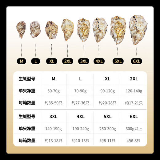 Lighthouse Jellyfish Fresh Rushan Oyster XL Net Weight 5 Jin Jin equals 0.5 kg Straight from the source