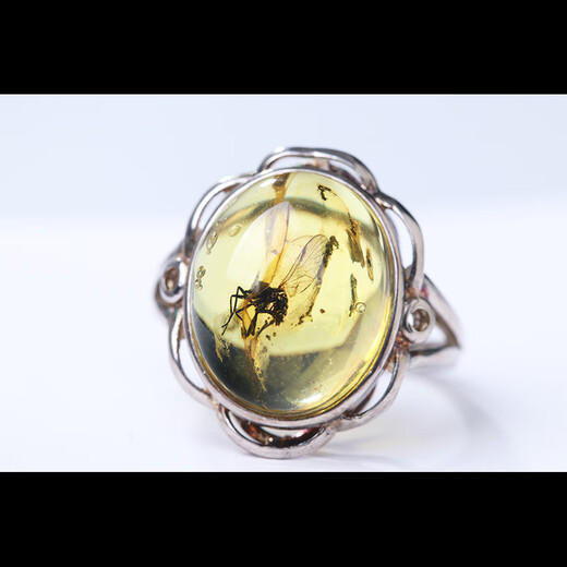 Yue'er collection-grade natural amber beeswax amber ring gold amber protozoa amber men's and women's insect amber complete and clear 3.52g insect amber ring