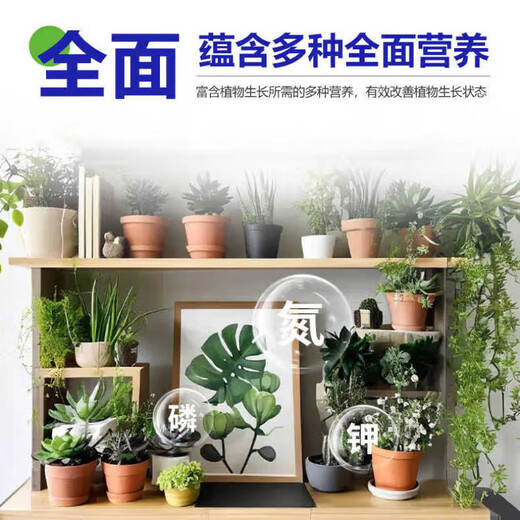 Plant regeneration agent, special nutrient solution for money tree, hydroponic fertilizer, indoor and outdoor potted plant nutrient solution, universal type, shoot 5 shots 9, plants thrive
