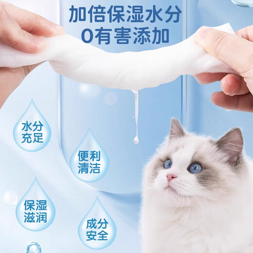 KOJIMA Pet Disposable Gloves Wet Wipes for Cats and Dogs Special Feet Dry Cleaning Cleaning Deodorizing Wet Bath Supplies Disposable Gloves-6 Pack