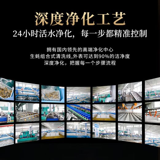 Lighthouse Jellyfish Fresh Rushan Oyster XL Net Weight 5 Jin Jin equals 0.5 kg Straight from the source