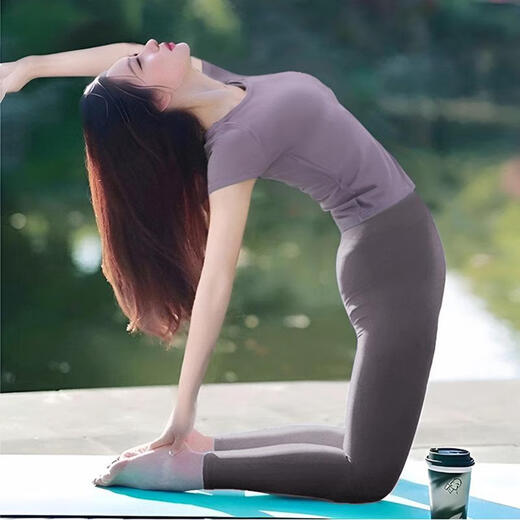 Shuangxiu yoga clothes for women 2025 new high-end Pilates, beautiful and slimming professional sports fitness suit long-sleeved Moon Rock Purple Top S (80-100)