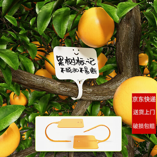 Shipton nursery flower pot plastic succulent label flower gardening ground label potted plant name label waterproof small plug label white 100 pieces (9.6cm)