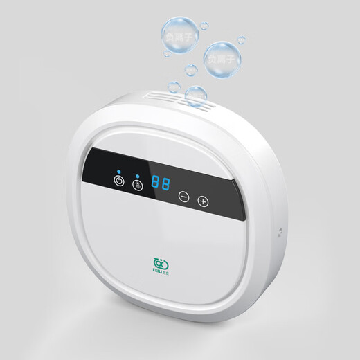 Feili ozone hotel indoor disinfection, sterilization, deodorization and odor negative ion air purification household kitchen ozone generation machine FL-C08A (multifunctional disinfection machine)