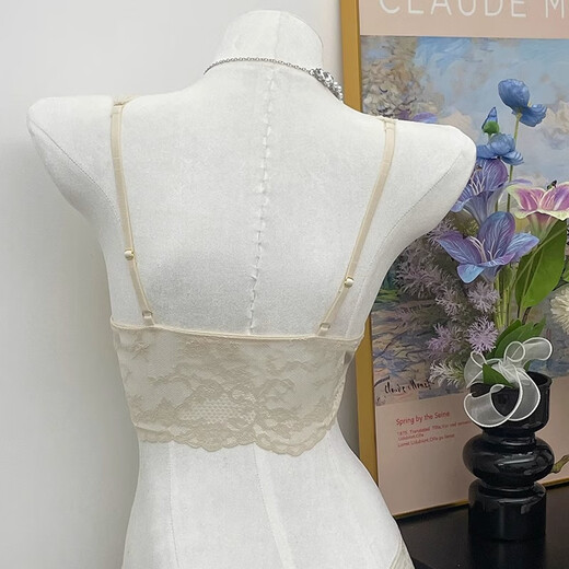 沂懿性感内衣女士蕾丝文胸胸罩无钢圈美背无痕内衣小胸聚拢胸衣平胸 蕾丝美背吊带内衣【香槟色】 S 【32/70AB】