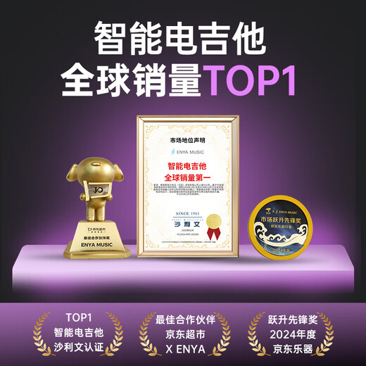 Enya Enya Electric Guitar Double Rock Single Single Double Smart Electric Guitar Inspire Hua Chenyu Same Model Dark