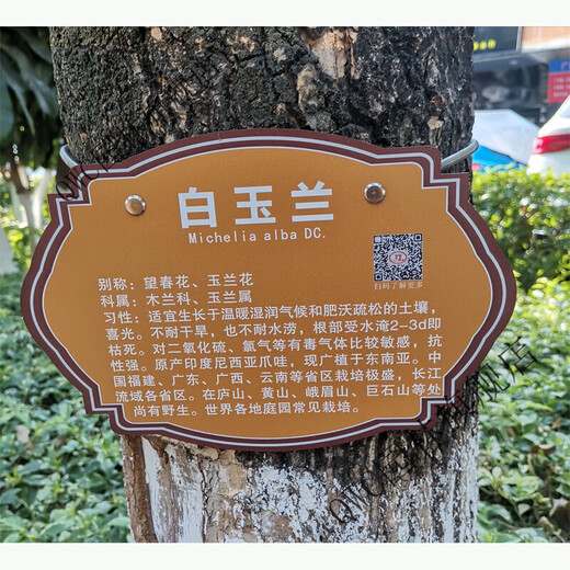 Stainless steel 304 tension spring chain hanging plant Chinese herbal tree brand spring stainless steel spring 30x0.6cm