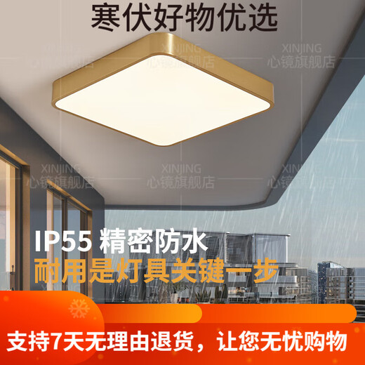 映棠全铜户外吸顶灯别墅大门口门前灯室外过道阳台灯防蚊虫庭 X3895-4 X3893-400/方形