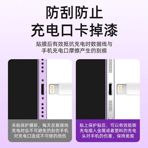 Danlan Apple 1413Promax12 Teléfono móvil Portelador de redes de polvo Puerto de carga Película protectora de metal Accesorios integrales Integrales Silver Silver 1 Strip + Tool Integrado a prueba de polvo Neta