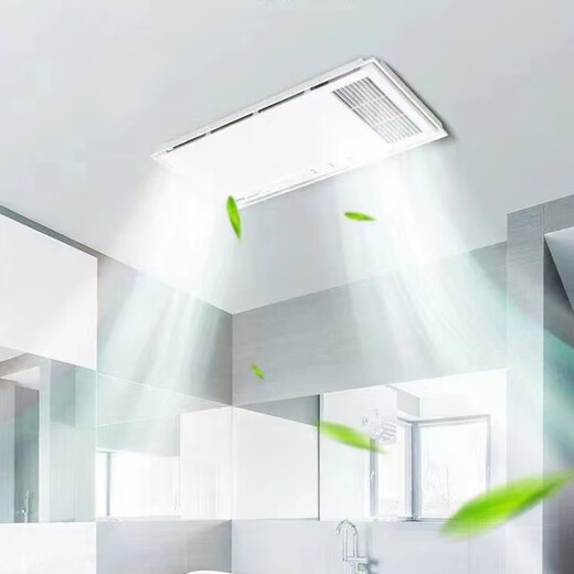 AUPU 2025 neue feste Lampe Warmluftheizung C6210 Doppelmotor integrierte Decken-WC-Badezimmerheizung F05_Integrierte Decke 30_60