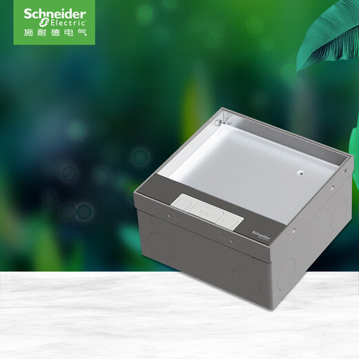 Schneider Electric Bodensteckdose, versteckte Bodensteckdose, Edelstahl, eingebettete Fünf-Loch-Bodensteckdose (mit Bodenkasten)