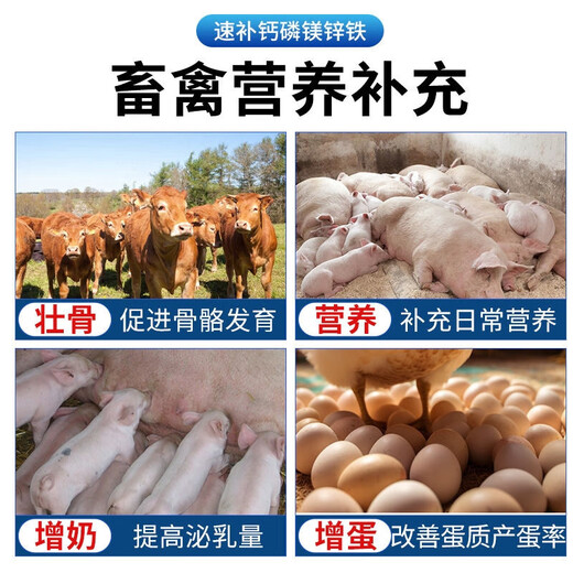 Quick supplement of calcium, phosphorus, magnesium, zinc and iron for cattle and sheep, special calcium and phosphorus for pregnant cattle and sheep, electrolytic multi-dimensional trace elements for veterinary use, quick supplement of calcium, phosphorus, magnesium, zinc and iron, 3 bags