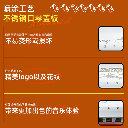 EAST TOP blues harmonica 10 holes T008L PADDY C key