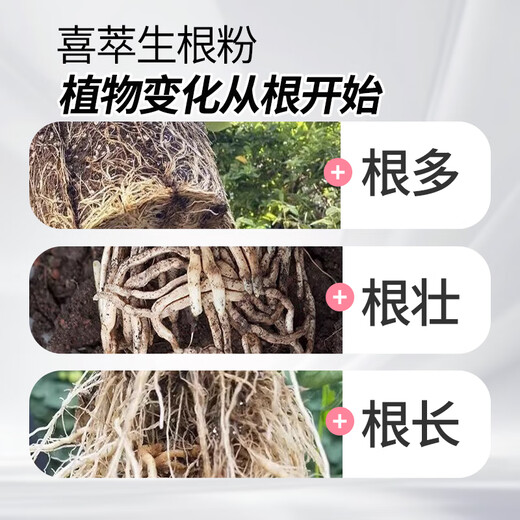 Dihuayan powerful rooting powder for vegetables, flowers and medicinal materials, rooting and strengthening seedlings, improving soil, cuttings, transplanting and rooting, universal water-soluble fertilizer