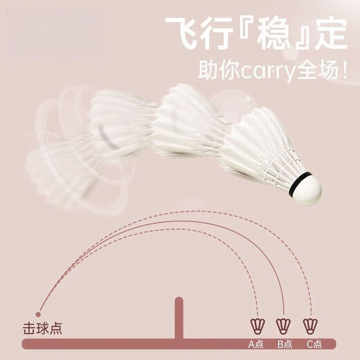 羽毛球正品天然鸭毛12只装耐打鹅毛室内室外比赛防风训练用球6只 【日常训练】无标-升级台纤 1筒 12只装