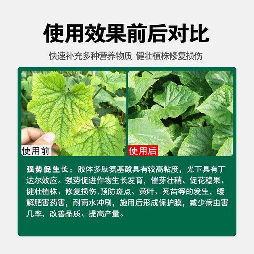 Amino acid foliar fertilizer for fruit trees, vegetables and tea plants, general germination, rooting and seedling preservation, flower and fruit water-soluble fertilizer, Australian brand 1L*6 bottles