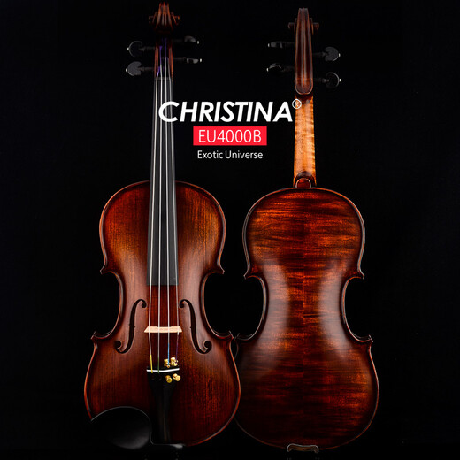 克莉丝蒂娜（Christina）欧洲原装进口小提琴EU4000B考级进阶演奏成人学生乐队乐团乐器 4/4身高155cm以上