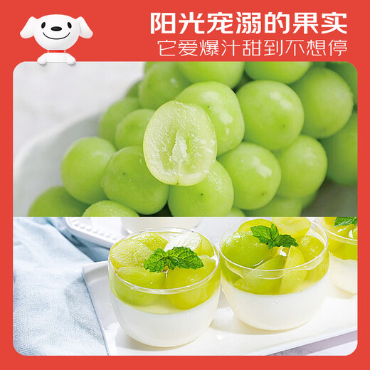 Jingxiansheng Sunshine Rose Grape Green Grape 2-2.5 Jin Jin is equal to 0.5 kg, single fruit is about 10g, fresh fruit