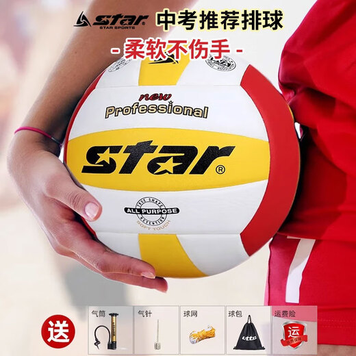 Shida Volleyball High School Entrance Examination Ball Standard Hard Volleyball Beginner Training Volleyball Hands Feeling Soft Test Recommended Indoor Ball No. 5 VB825C-67 [PU Material]