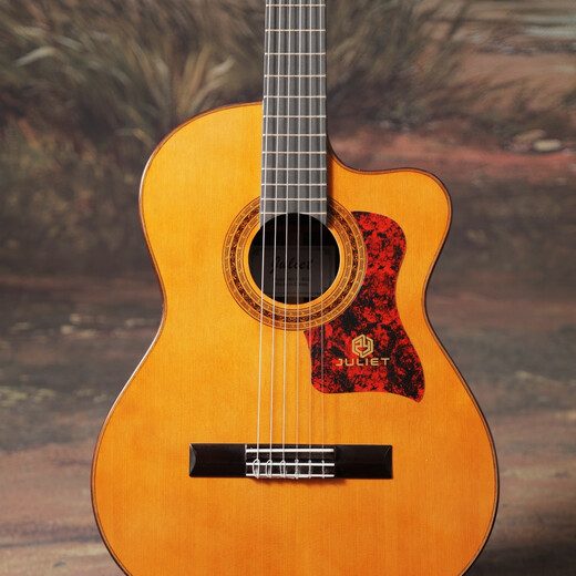 Julia Gitarre Julia Crossover Gitarre R950