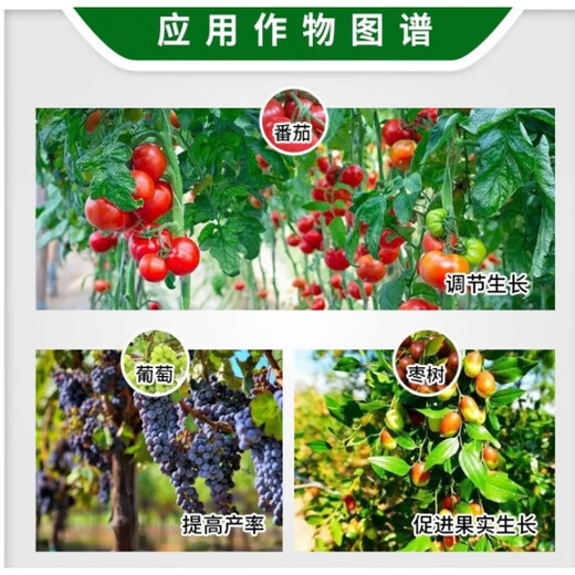 Thidiazuron grape fruit-setting spirit increases yield and promotes growth and expansion agent growth regulator 120ml