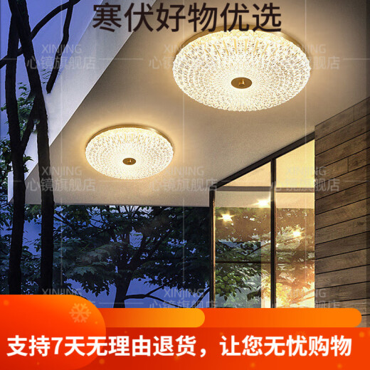 CLCEY心镜全铜户外吸顶灯别墅入户门顶灯简约过道露台阳台灯防水庭 X38 X3895-400/圆形