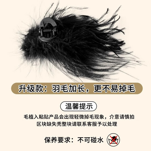 Bai Shilin's temperament feather clip for women's high-end 2025 new style shark clip for hair on the back of the head, high-end bird feather clip headwear, extra large size 13cm