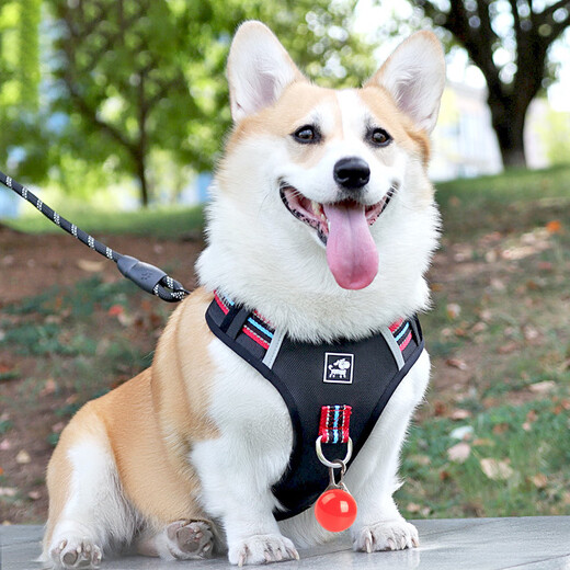 Jiahuide Dog Leash Vest Style Dog Walking Rope Shiba Inu Corgi Explosion-proof Harness Harness Small and Medium Dog Chain Colorful Black Harness + 2 Meter Reflective Dog Rope M Size Recommended 15-30 Jin Jin equals 0.5 kg for dogs