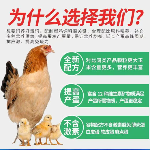 Factory direct sales 80 Jin Jin equals 0.5 kg layer hen feed for hens, egg laying broiler fattening pellets full price for nesting and breeding, 5 Jin Jin equals 0.5 kg layer hen feed
