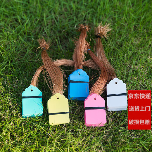 Shipton plastic sign writing waterproof mark tag label seedling plant tag gardening sign with line 4*6cm powder 100 pieces