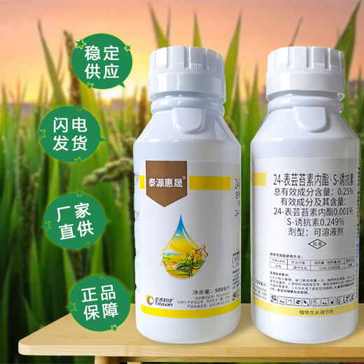 24 epibrassinolide s inducer rice regulator 24 epibrassinolide pesticide growth regulator 500g