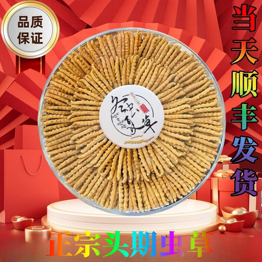 正宗雪山藏区野那l曲高海拔雪山冬虫夏草整草虫草断虫草按克按条 西藏那曲雪山虫草整肉1克