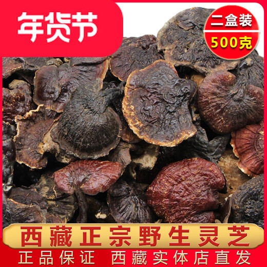Pangdonglai calidad Ganoderma Lucidum Regalo Regalo Dry Linzhi Red Zhi Gold Edge Powder Powder Powder 500G Gangling Lucidum Regalo de regalo (500 g)