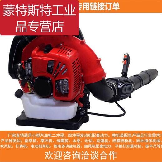 Hair dryer accessories, gasoline engine for greenhouse blowing snow and fallen leaves, backpack forest firefighting wind fire extinguisher, high power 865 throttle switch assembly