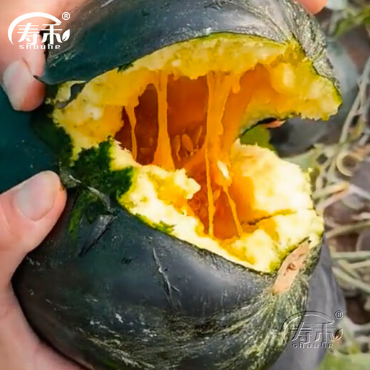 Shouhe Green Skin Melon Seeds Large Whole Melon Black Skin Melon Seeds 100 capsules x 5 dry noodles Fragrant