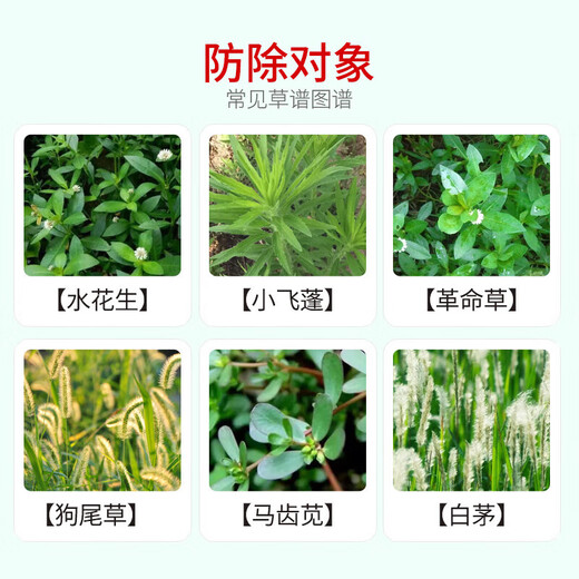 Bonsec 20% dichloride herbicide malignant weed multi-year weed dichloride herbicide weed high concentration pesticide