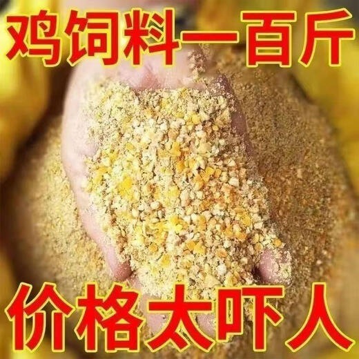 OIMG corn kernels for chicken feed, laying hens, full price feed, chicken, duck, goose, quail 100Jin, Jin is equal to 0.5kg, chicken food formula 50.08Jin, Jin is equal to 0.5kg, express delivery to towns and villages, chicken, duck, goose, quail