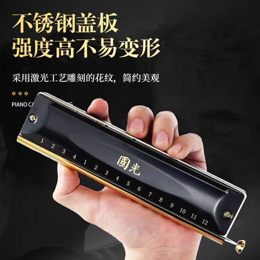 Guoguang chromatic harmonica 10 holes 12 holes 16 holes imported gongs for beginners students entry-level musical instruments for adults professional playing 12 holes chromatic scale black + video teaching