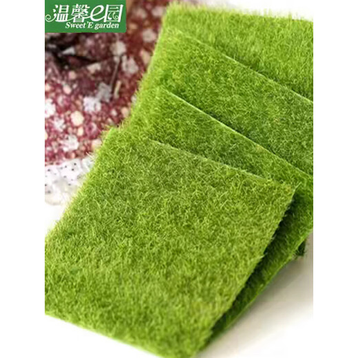 Grass floor mat mini carpet lawn green space simulation green plant micro landscape bonsai desktop interior decoration turf lawn 30*30 cm 1 piece